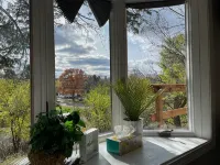 Siri's Pride & Joy Cute 2 bed/2 bath bungalow nestled on a private corner lot - Homestays