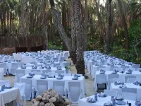 Ras El Ain Hotels in Tozeur