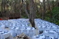 Ras El Ain