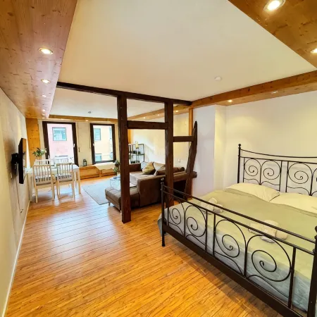 Großes Apartment an der Loreley