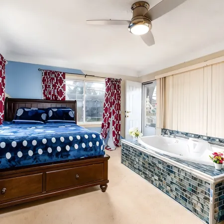 Luxe 7 bdr 4 Fullbath with Jacuzzi on West side Detroit