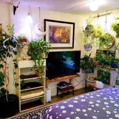 Miracles on Polly - Enchanted River Retreat Rooms
