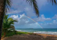 Caribbean Oasis - Spacious Beach Front Villa - Beach
