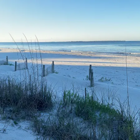 Beachfront--Beachfront---Beachfront--Nora's