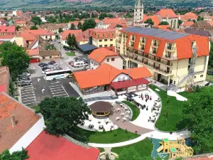 Hotel Leul de Aur