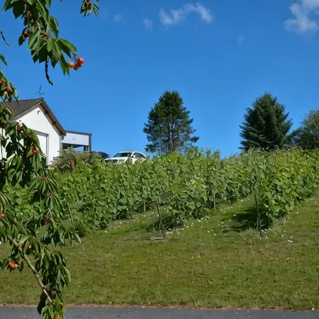 Le Clos du Moulin