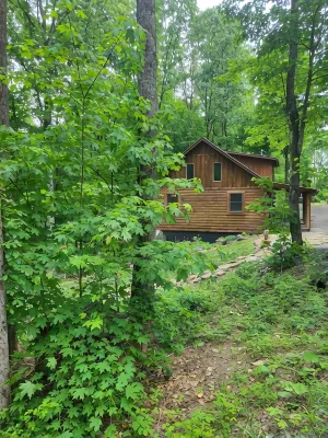 New River & Gauley River family cabin -10 minutes to state & national parks - シャレー