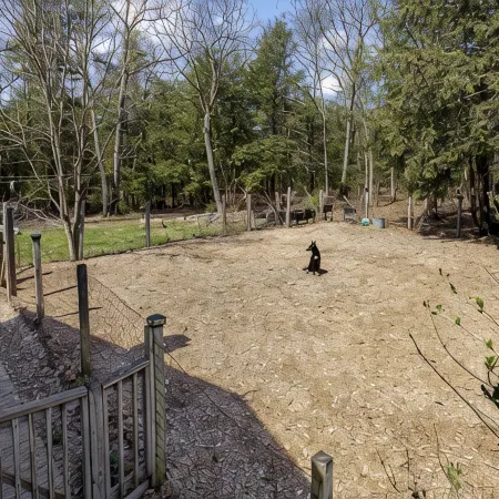 Cleo’s Cabin: Private Retreat with Fenced Dog Run