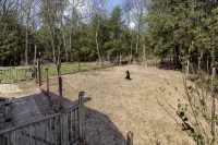 Cleo’s Cabin: Private Retreat with Fenced Dog Run - 3성급