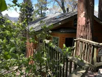 Peaceful Cozy Cabin Amongst the Trees with View of Lake Arrowhead - Chalets