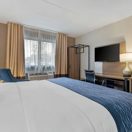 Comfort Inn Herndon-Reston