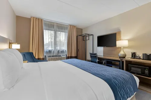 Comfort Inn Herndon-Reston - Bathtub