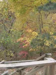 Buffalo Lodge, Secluded Log Cabin Near Buffalo National River - Hytter