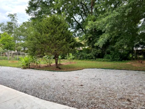 Two Bedroom home near UGA - with newly renovated floors!! - Bintang 2
