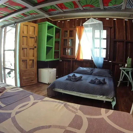 Madre Selva Jungle Hostel Hotels in Cocles