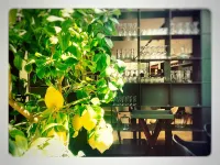 Vila Arenys Hotel - bar