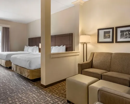 Comfort Inn & Suites Pittsburgh-Northshore Hotels near Randyland