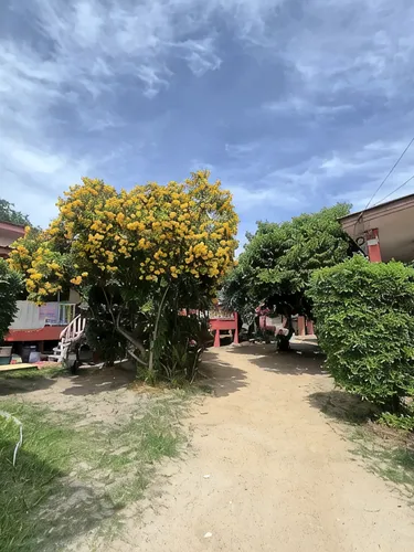 รูปภาพของริซาส์ รีทรีต บังกะโล (Risa's Retreat Bungalows)