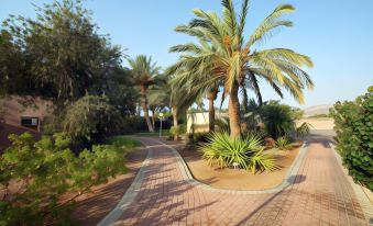 Eilot Kibbutz Country Lodging