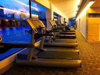 Pan Pacific Sonargaon Dhaka - Gym