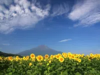 Hotel Massimo Mishima Hotels in Shimizu
