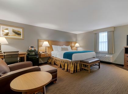 Best Western Plus Cold Spring