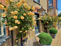Belle Vue Guest House Hotels in Fincham