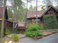 Always Inn Idyllwild Vacation Cottages Hotels in Idyllwild