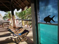 Xcalak Caribe Lodge - Pemandangan Pantai