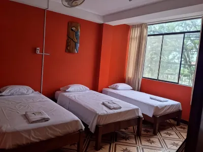 Plaza Jungle Hostel Hotels in 