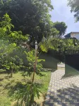 Amlou surf house