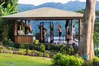 Jungle, waterfall, sea view, 5 minutes from beach, lap pool & gym. Bird watching