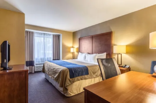 Comfort Inn Hotels in 