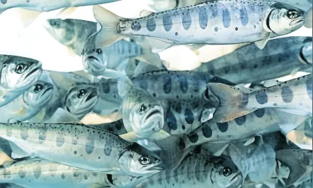 Amago No Yado Отели в г. Оно