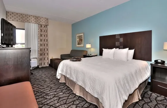 希爾頓歡朋酒店-伊登