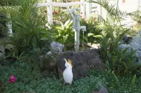 Kingfisher Motel (Adults Only)