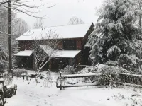 Lazy Bear Lodge - Boutique