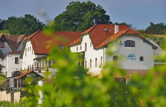 維努格拉特酒店