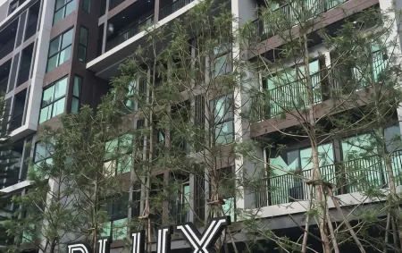 Dlux Condominium