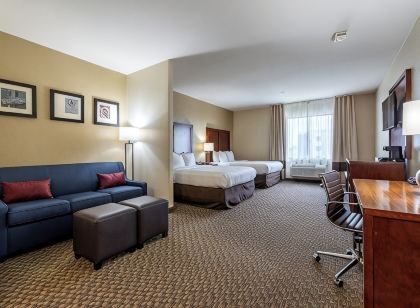 Comfort Inn & Suites Navasota