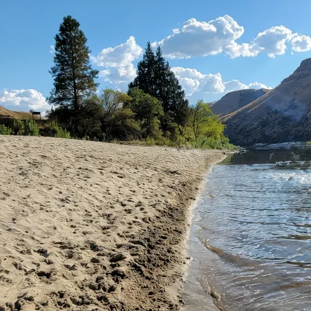 Cabin overlooking Salmon River south of White Bird - Family friendly + Starlink!