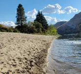 Cabin overlooking Salmon River south of White Bird - Family friendly + Starlink! - Hytter