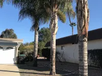 Colorful Warm Weather Jewel House 10,000 sq ft lot. Hotels in Menifee