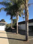Colorful Warm Weather Jewel House 10,000 sq ft lot.