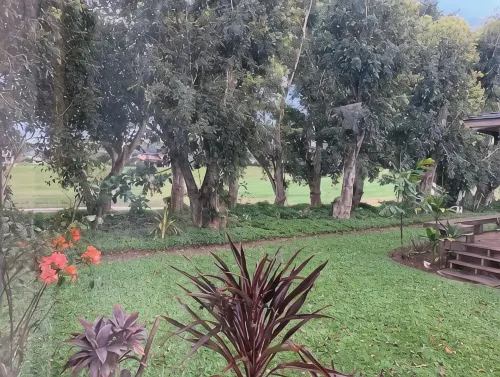 Aloha! The North Shore of Kauai awaits in this amazing, centrally located Condo!