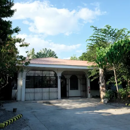 Mad Monkey Dumaguete