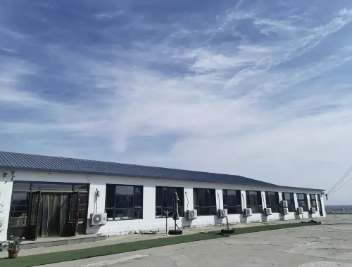 Zhuanghe Shichengdao Wusehai Fishery Vacation Apartment - Beach