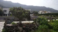La Brujita