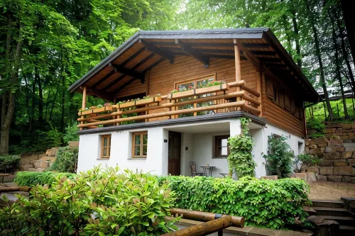 Teak - Holiday apartment with a view, pet-friendly with wellness area - Homestays
