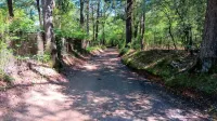 Charming 3-bedroom house, WiFi, AC, in tranquil beautiful Russellville near Lake - Homestays